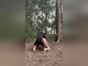 animal satisfaction, insatiable desire, prohibited sex