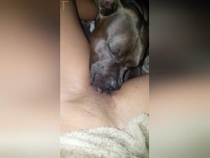 fetish licks and animal pleasure