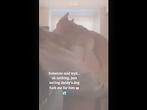 Hard and extreme zoophilic videos