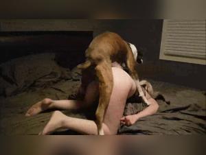 Sordid delights: amateur subject to animal instincts
