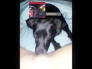 Dog sex video