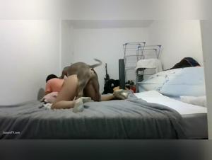 Dog Knots, Slut & Dog: Extremist Sexual Delights