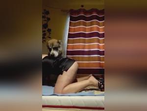 Mad Love: When Passion Transcends Limits