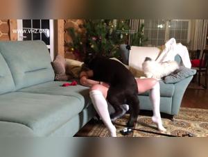 Wild Delights: Bestial Kisses and Intensely Filmed Orgasms