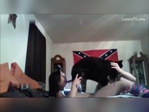 Beyond the Limits: Experience Icedone's Wild Desire