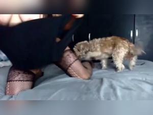 Extreme Canine Fuck: A sensual and taboo-free journey with Milly