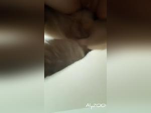 perverse dominance, dog as toy