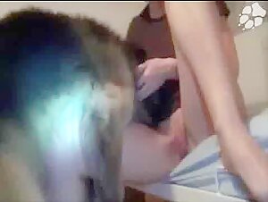Sex video with dog: a scene of extreme zoophilia