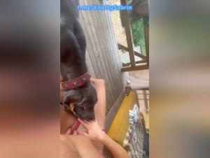 Canine-Feminine Delights