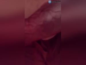 Primitive Instinct: When Mad Love Meets Bestiality