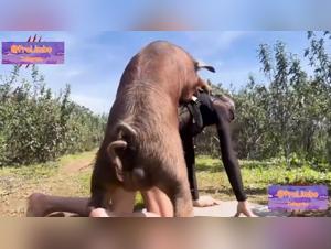 whips, barking and animal ejaculations on whore