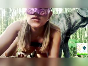 This blonde cat shows all her talent when she has fun digging on her partner's dog