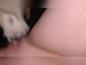 Animal Exploitation: Its Interior Beast Unleashed