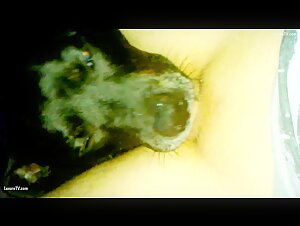 Bestiality Video: A Woman and Her Dog