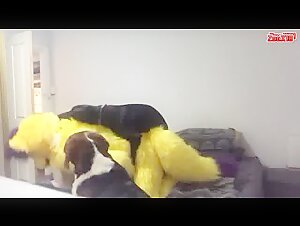 Discover the world of bestiality and sex with animals