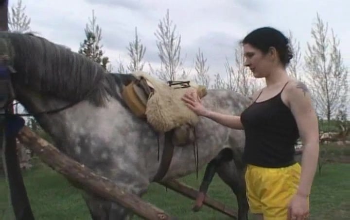 Untamed Animal Power