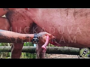 Hardcore blowjob and copious cumshot in this bestiality video