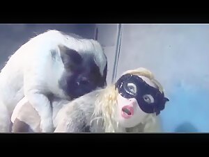 Hardcore and Exciting Scenes