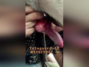 Unveil Sirila's Raw Desires with her Dog