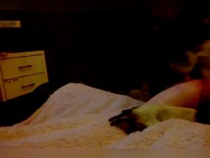 Milly Eaten Alive by the Cat