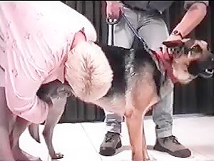 Dog sex video: Blondie GS and her four-legged friend