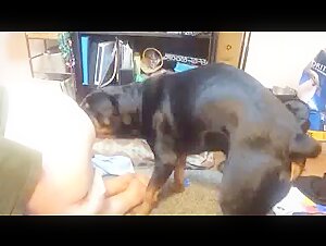Hardcore Bestiality Videos