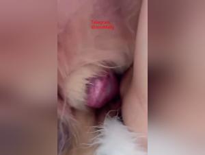 canine saliva, animal submission and pleasure - extreme