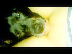 Sex with a Dog Video: Discover Bestiality