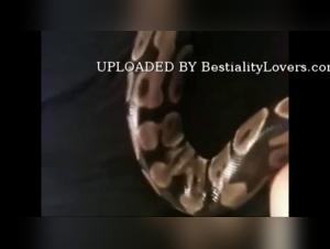 Primera parte: Sumision intensa y deseos animales