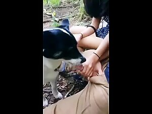 Bestiality: A video of intense zoophilia