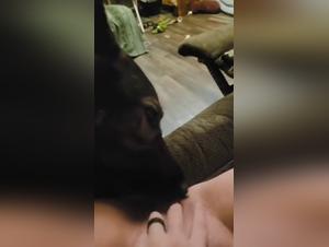 teen exploits a powerful dog, hardcore