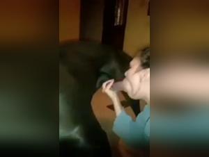 Exceeding Limits: Canine Power and Insatiable Desire