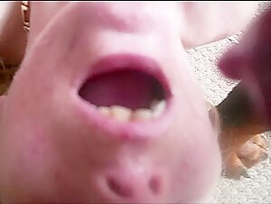 Discover the World of Zoophilia and Extreme Sex