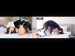 Zoophilia video: extreme dog sex