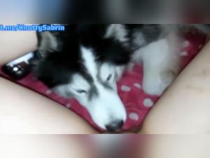 Big dicks and cum shot on the wild slut
