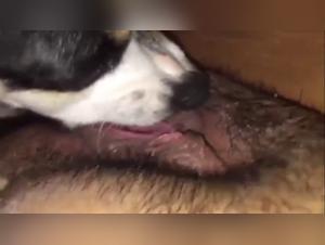 Discover the Exclusive Animal-Women Incestual Sessions