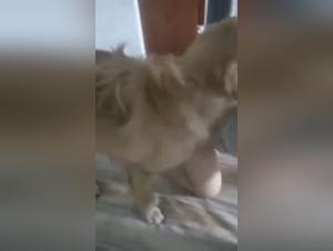 Teil 1: Ein unzerbrechliches sexuelles Delirium