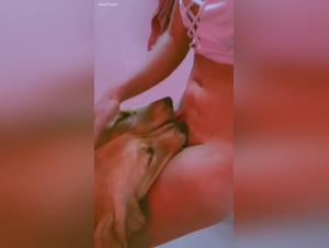 pity for morality, emulation of animal desire