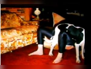 Digital debauchery: a mother-daughter-dog triangle on video