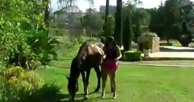 Deep Throat, Cum Splashing - Hardcore Erotic Animal Fuck