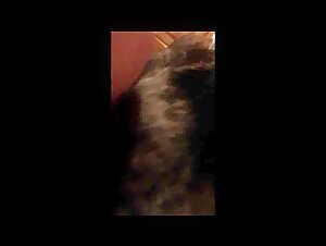 Discover this submissive woman and her unique marriage with a dog