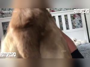 sluts and their dogs: deep and cruel orgasms