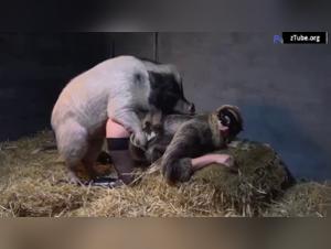 Part 2: The Slut Yasmin gives in to the Dog