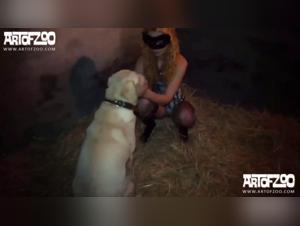 Explore the Limits: Canine Domination and Female Desire