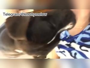 Doggy Action, Amateur Desires