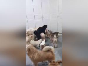 Interspecies Brutality