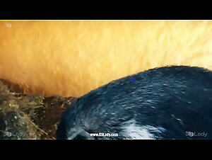 Check out Hardcore Bestiality Sex Scenes from Selena Sensual Taste and K9Lady