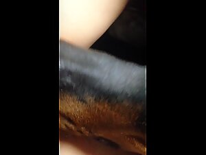 Extreme Zoophilia: Unforgettable Moments with Dog and Girl
