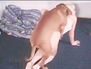 Check out this ninfeta in an extreme bestiality sex video