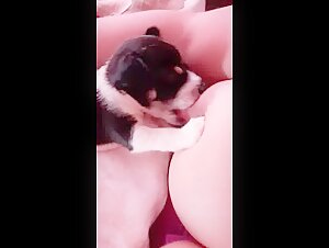 Bestiality Sex Video: An Exciting Experience